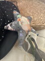 Kouzelná hůlka - Frankie méďa a pirátská sova